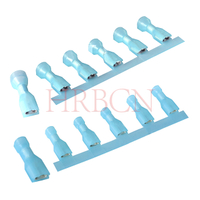 4,8 mm vollisolierte weibliche Trennklemme (AWG 16–14)